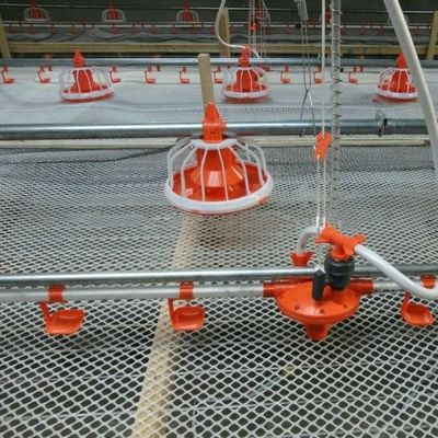 D25mm Pipe Poultry Farm Water System Chicken Self Watering System