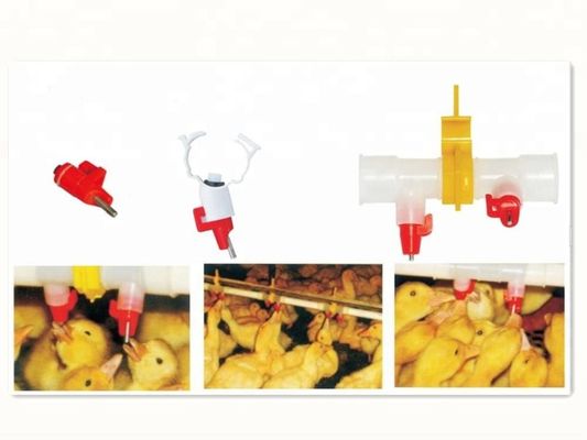 chicken drinker for farm automatic poultry plastic drinking line