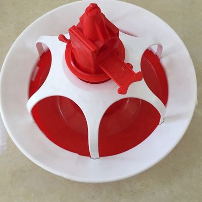Duck and goose feeding tray