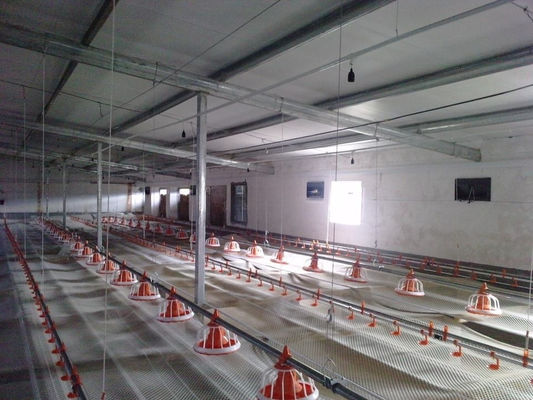 D25mm Pipe Poultry Farm Water System Chicken Self Watering System