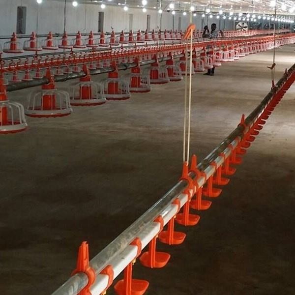D25mm Pipe Poultry Farm Water System Chicken Self Watering System