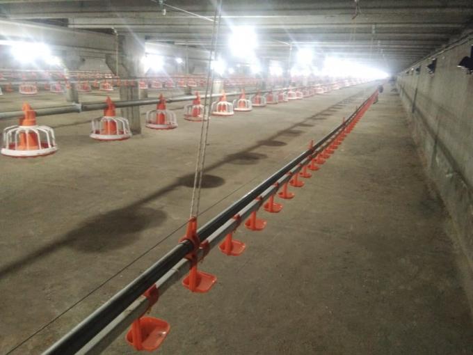 Mangiatoia automatica per polli Tubo in PVC Mangiatoia per pollame con recipiente a pressione 3