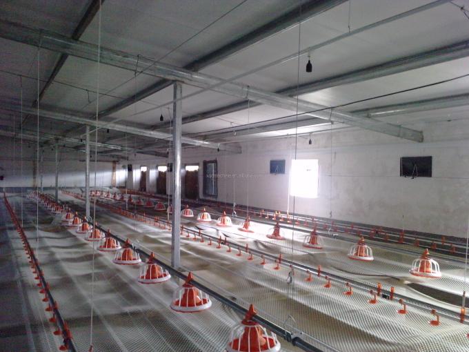 Mangiatoia automatica per polli Tubo in PVC Mangiatoia per pollame con recipiente a pressione 5