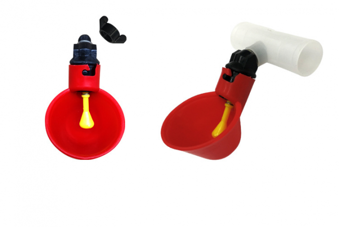 Attrezzi per la fattoria degli animali Pollaio automatico Pollame Acqua per bere Ciotola Pollo in plastica Pulcino Pollame Capezzolo Bevitore a goccia 5