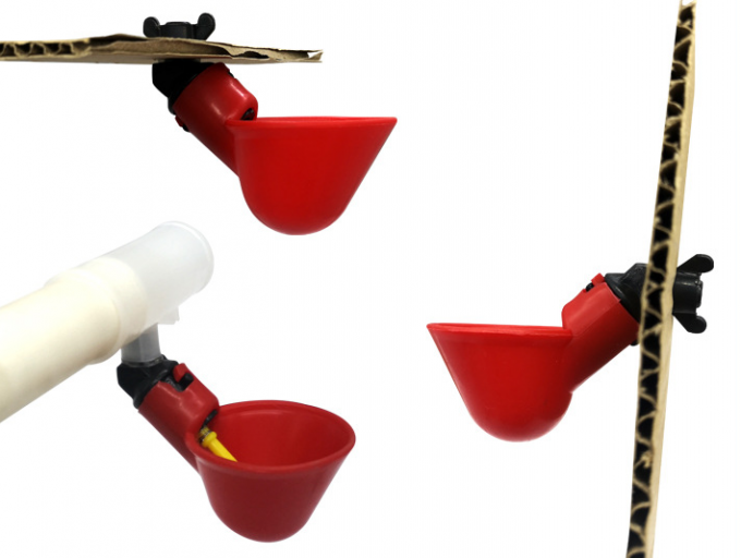Attrezzi per la fattoria degli animali Pollaio automatico Pollame Acqua per bere Ciotola Pollo in plastica Pulcino Pollame Capezzolo Bevitore a goccia 7