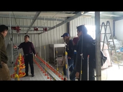 Abbeveratoio del capezzolo dei bevitori del sistema di innaffiatura dell'acqua potabile delle anatre delle oche per l'agricoltura di allevamento di pollame dell'uccello